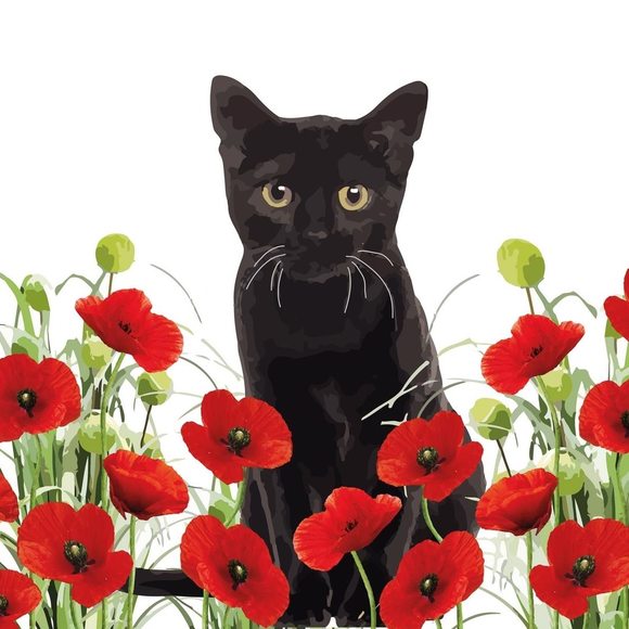 Meet your Posher, Merriam - Picture 1 of 1